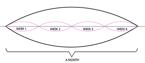 MONTH cycle